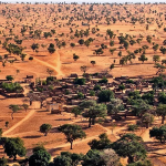 One, Two, Tree (Satu, Dua, Pohon): Bagaimana Kecerdasan Buatan Membantu Menemukan Jutaan Pohon di Sahara