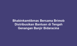 Bhabinkamtibmas Bersama Brimob Distribusikan Bantuan di Tengah Genangan Banjir Bidaracina
