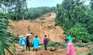 Screenshot_20251130_194132