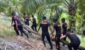 Screenshot_20251207-175226