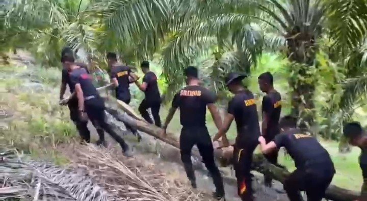 Screenshot_20251207-175226