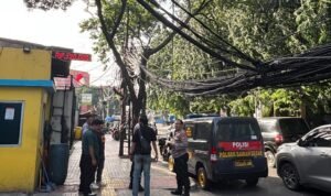 IMG-20260228-WA0041~2