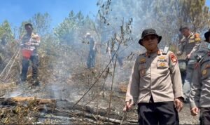 IMG-20260904-WA0428